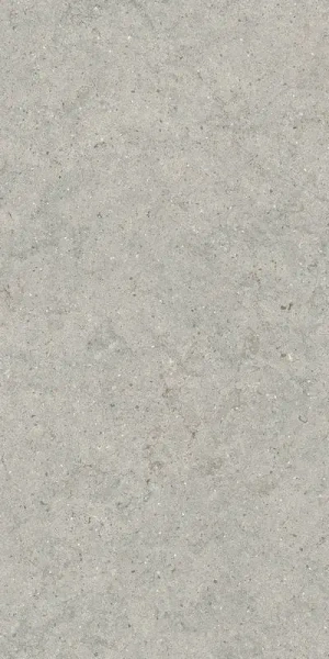 Керамогранит  / Италон / Italon / Forum / Форум/ Стоун Сильвер 60x120 / STONE SILVER 60X120